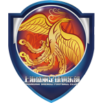 上海盛丽女足队标,上海盛丽女足图片