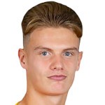 威肯斯头像,威肯斯图片